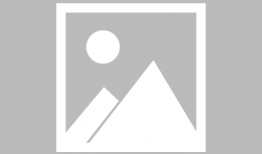 qq吃瓜爆料群号,QQ吃瓜爆料群号背后的神秘世界